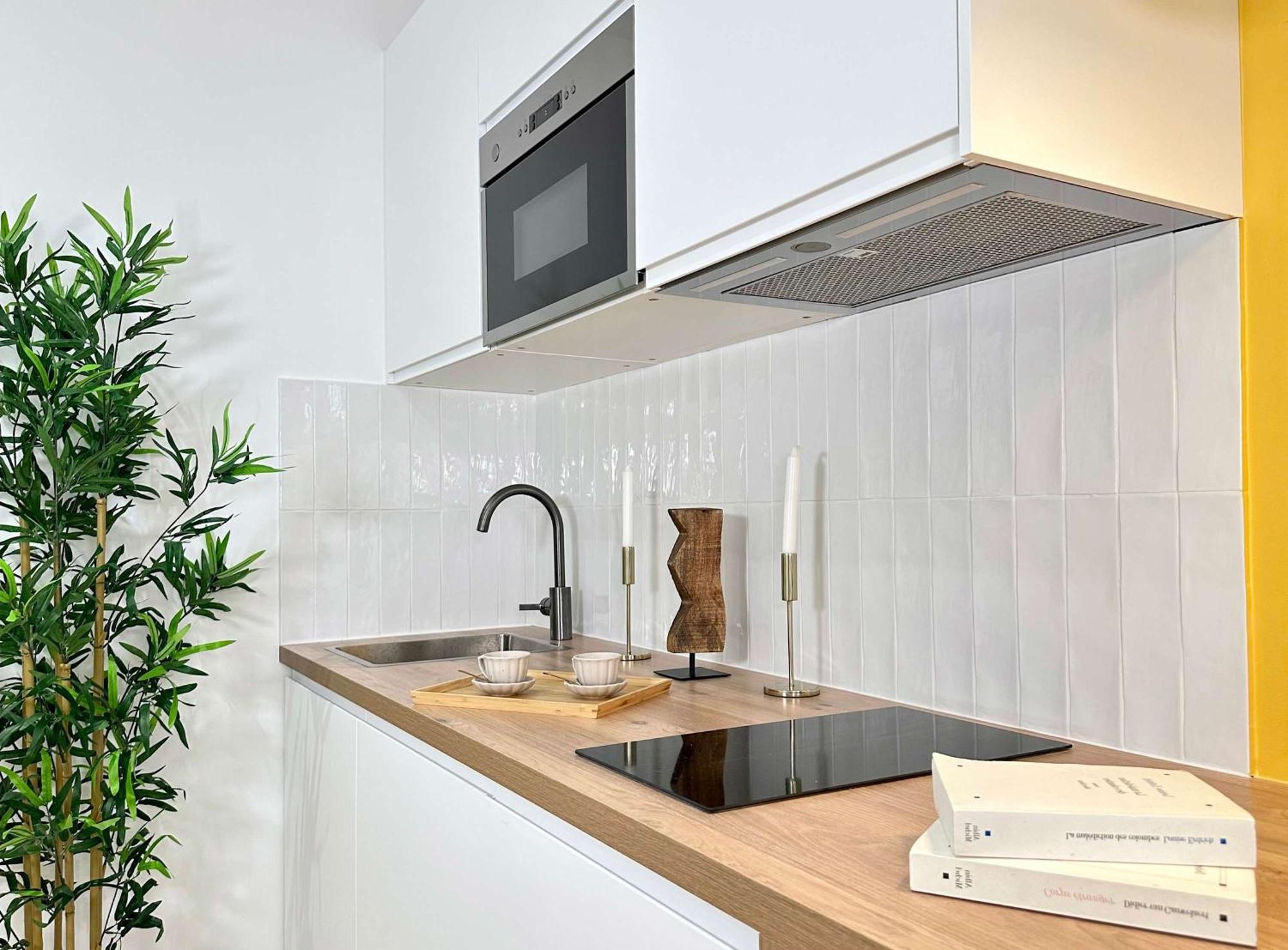 Apartment Captivating In Opera *